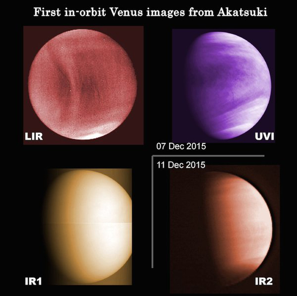 4つのカメラによる金星画像の写真